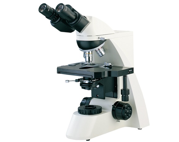 <b>生物显微镜L3000</b>