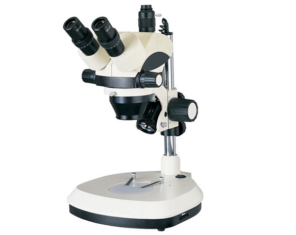 <b>体视显微镜XTL</b>