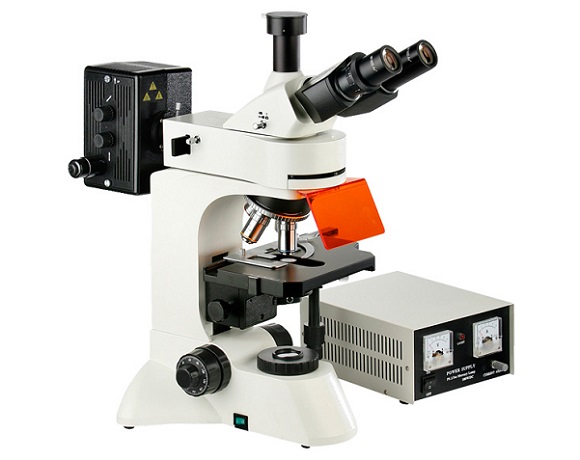 <b>落射荧光显微镜L3201</b>