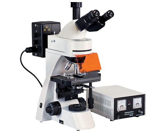 <b>落射荧光显微镜L3001</b>