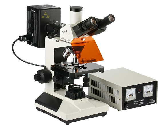 <b>荧光观察显微镜L2001</b>